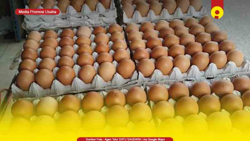 Toko Supplier Agen Telur Ayam di Balikpapan Murah
