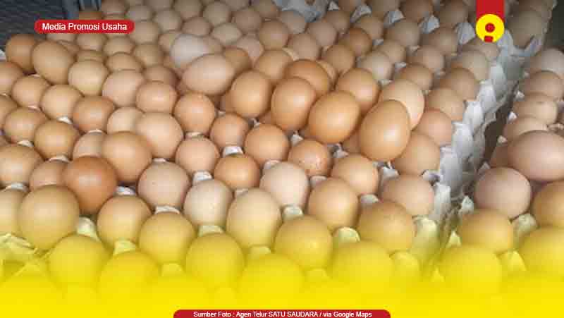 Toko Supplier Agen Telur Ayam di Pontianak Murah
