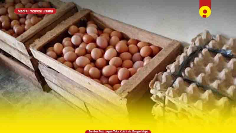 4 Toko Supplier Agen Telur Ayam di Indramayu Murah