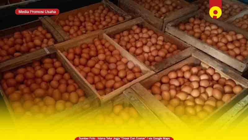 Toko Supplier Agen Telur Ayam di Jambi