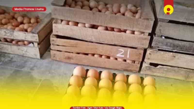 5 Toko Supplier Agen Telur Ayam di Karawang Murah