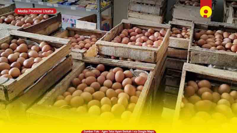 Toko Supplier Agen Telur Ayam di Dumai, Riau