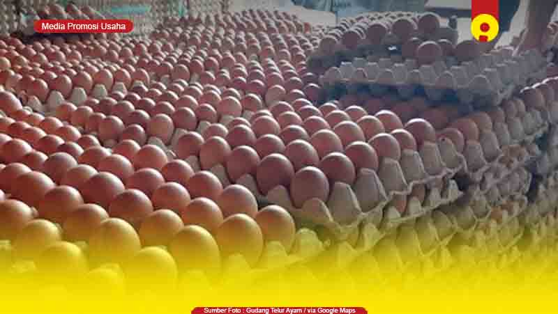 Toko Supplier Agen Telur Ayam di Probolinggo