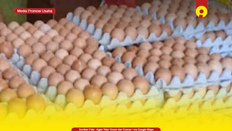 Toko Supplier Agen Telur Ayam di Tarakan Murah